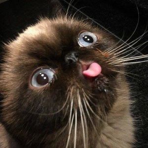 Meet your Posher, Christyne